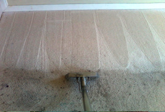 Carpet Cleaning Image: Carpet Cleaning