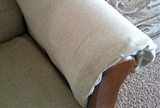 Upholstery Cleaning Image: Upholstery Cleaning