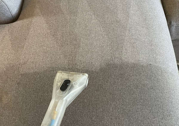 Upholstery Cleaning Image: Upholstery Cleaning